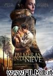 poster del film Palme nella neve