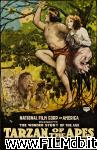 poster del film Tarzan of the Apes