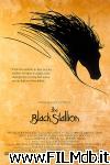 poster del film black stallion