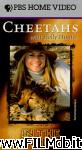 poster del film Cheetahs with Holly Hunter [filmTV]