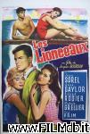 poster del film Les Lionceaux