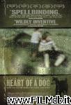 poster del film Heart of a Dog