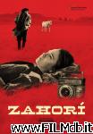 poster del film Zahorí