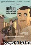 poster del film Buñuel en el laberinto de las tortugas