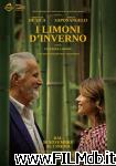 poster del film I limoni d'inverno