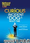 poster del film National Theatre Live: The Curious Incident of the Dog in the Night-Time [filmTV]