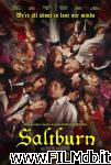 poster del film Saltburn: El Laberinto