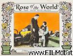 poster del film Rose of the World