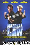 poster del film La Loi des arts martiaux