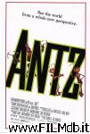 poster del film z la formica