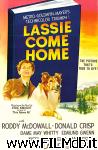 poster del film Torna a casa Lassie!