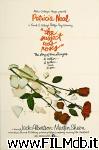 poster del film la signora amava le rose