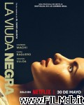 poster del film Veuve noire