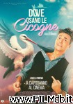 poster del film Dove osano le cicogne