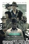 poster del film mudbound