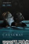 poster del film Causeway