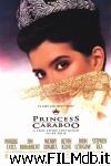 poster La principessa degli intrighi poster del film La principessa degli intrighi
