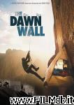 poster del film the dawn wall