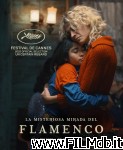 poster del film La misteriosa mirada del flamenco