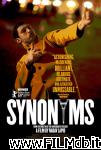 poster del film Synonymes