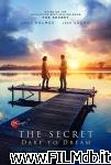 poster del film The Secret: Dare to Dream