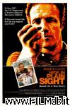 poster del film Hide in Plain Sight