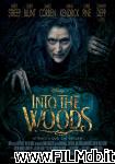 poster del film into the woods