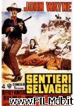 poster sentieri selvaggi poster del film sentieri selvaggi