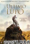 poster del film l'ultimo lupo