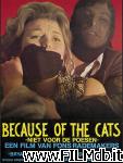 poster del film because of the cats