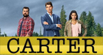 logo serie-tv Carter