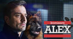 logo serie-tv Komisarz Alex