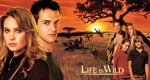 logo serie-tv Africa nel cuore (Life Is Wild)