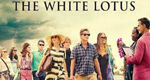 logo serie-tv White Lotus